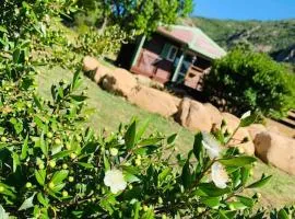 Chalet au calme à Sagone en Corse