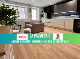 LA PALMERAIE -wifi fibre- centre ville -PROPERTY RENTAL NM