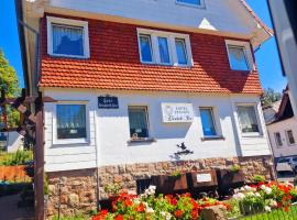 Hotel Elisabeth Ilse, Hotel in Braunlage