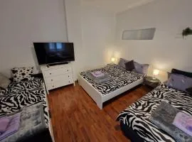Belgrade Downtown Homestay