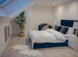 Stylish Skylight Room in a Luxury House