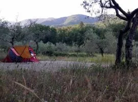 Agricampeggio Borgo Agna