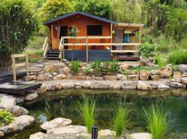 Tweed Hinterland Eco Cabin, ubytovanie s kúpeľmi onsen 