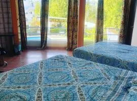 Elicon Suites
