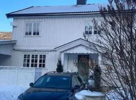 Familievennlig fritidsbolig i hjertet av Flå, perfekt for besøk i Bjørneparken