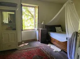 La Maison dans la forêt