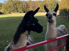 La Fermette Aux Lamas, poceni hotel v mestu Savigny-Lévescault