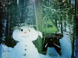 Glorious Summer at Cabin on the Creek