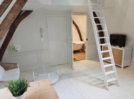 Le perchoir, studio avec mezzanine, apartemen di Arras