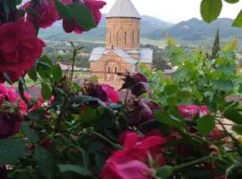 garden and panorama