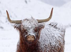 Ben Nevis Manor Lodge & Indoor Private Hot-Tub, хотел в Форт Уилям