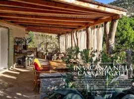 la Casa dei Gatti a Seccheto, una chicca