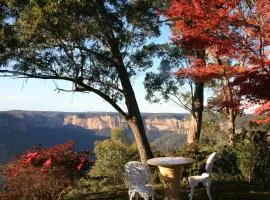 Allview Escape Blackheath