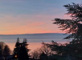 Le Mirabeau Vue Lac, hôtel à Évian-les-Bains