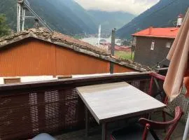 WOODEN OCHENA in UZUNGÖL