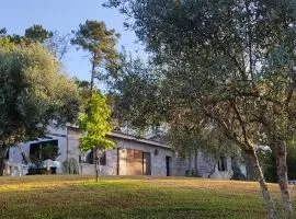Quinta da Pedra Mija