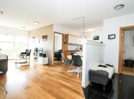 Downtown Charm Reykjavik