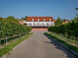 Penzion pod Kraví horou, hotel en Bořetice