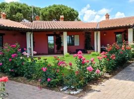 Agriturismo Il Sogno, apartment in Castiglione del Lago