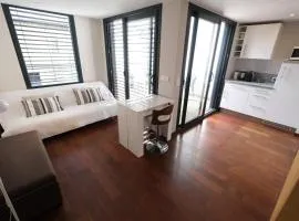 LS1-416 PAREU Agréable appartement en centre-ville de Saint-Rémy-de-Provence dans les Alpilles – 2 personnes