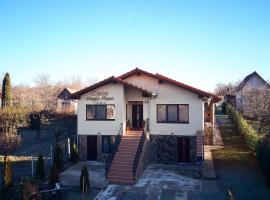 Casa MagicPlace, guest house in Viile Satu Mare