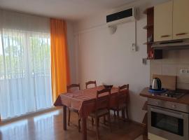 sunny apartments near the sandy beach, отель в Омише