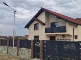 Casa Brâncușiana