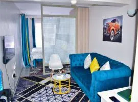 Cozy Spaceous Studio near JKIA, Fedha Embakasi