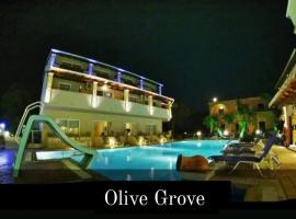 olivegrove, hotel di Sidari