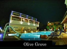 olivegrove