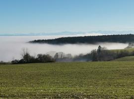 Grenzenlose Ferien im Süd-Schwarzwald geniessen, nahe zur Schweiz, bis 10 Personen、ヴァルツフート・ティンゲンのホテル