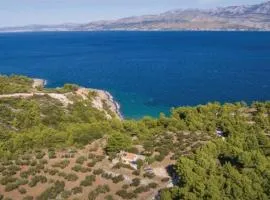 Secluded family friendly house Cove Ducac, Brac - 14312