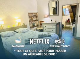 Logements Un Coin de Bigorre - T2 de campagne - Canal plus & Netflix - Wifi fibre - Centre village，Tournay的Villa