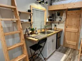 Tiny Home in Downtown St Pete