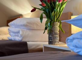 Hotel Marislav, hotel u gradu Češnovice