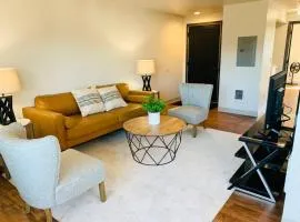 Modern Lofts at Aria 11