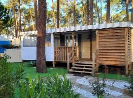 Mobil home les dunes de contis "domino"