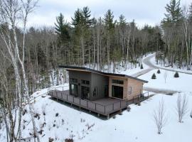 1B Contemporary cabin in magnificent setting, luxury and comfort, hot tub, AC!, cottage in Bethlehem