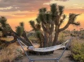 Desert Diamond- Joshua Tree Cowboy Pool and Spa