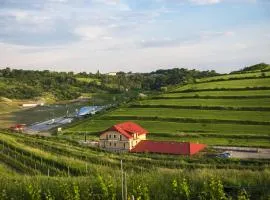Sarea-n Bucate (Crama la Salina)