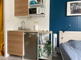 Bright Central Flat PARIS