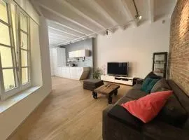 Konventna apartment in city heart, designed, spacious