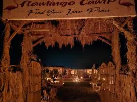 flamingo camp