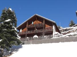 Apartment Fellenrüti 81 by Interhome, íbúð í Engelberg