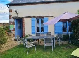 Charmant gîte rénové avec jardin, proche du Val de Loire et du Sancerrois, idéal pour familles - FR-1-590-33