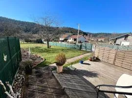 Gîte cozy au cœur des Vosges : terrasse, jardin, proche Gérardmer, animaux bienvenus - FR-1-589-76