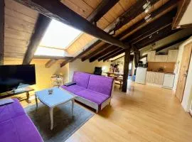 Charmant studio dans ferme avec terrasse et parking - montagnes des Vosges - FR-1-589-164