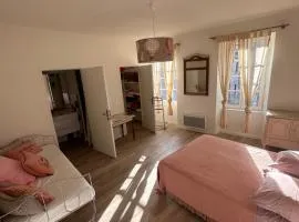 La Maison de ma Mère - Vue sur le Vignoble Saint-Joseph