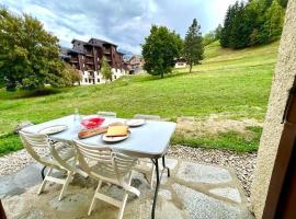 Superb studio Terrace Ski in Montchavin, hotel in La Plagne Tarentaise