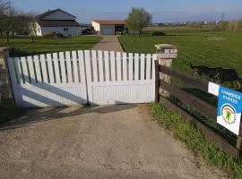 Évasion Tranquille entre Briey et Longuyon - Chambre d'Hôtes sur 5 Hectares - FR-1-584-288